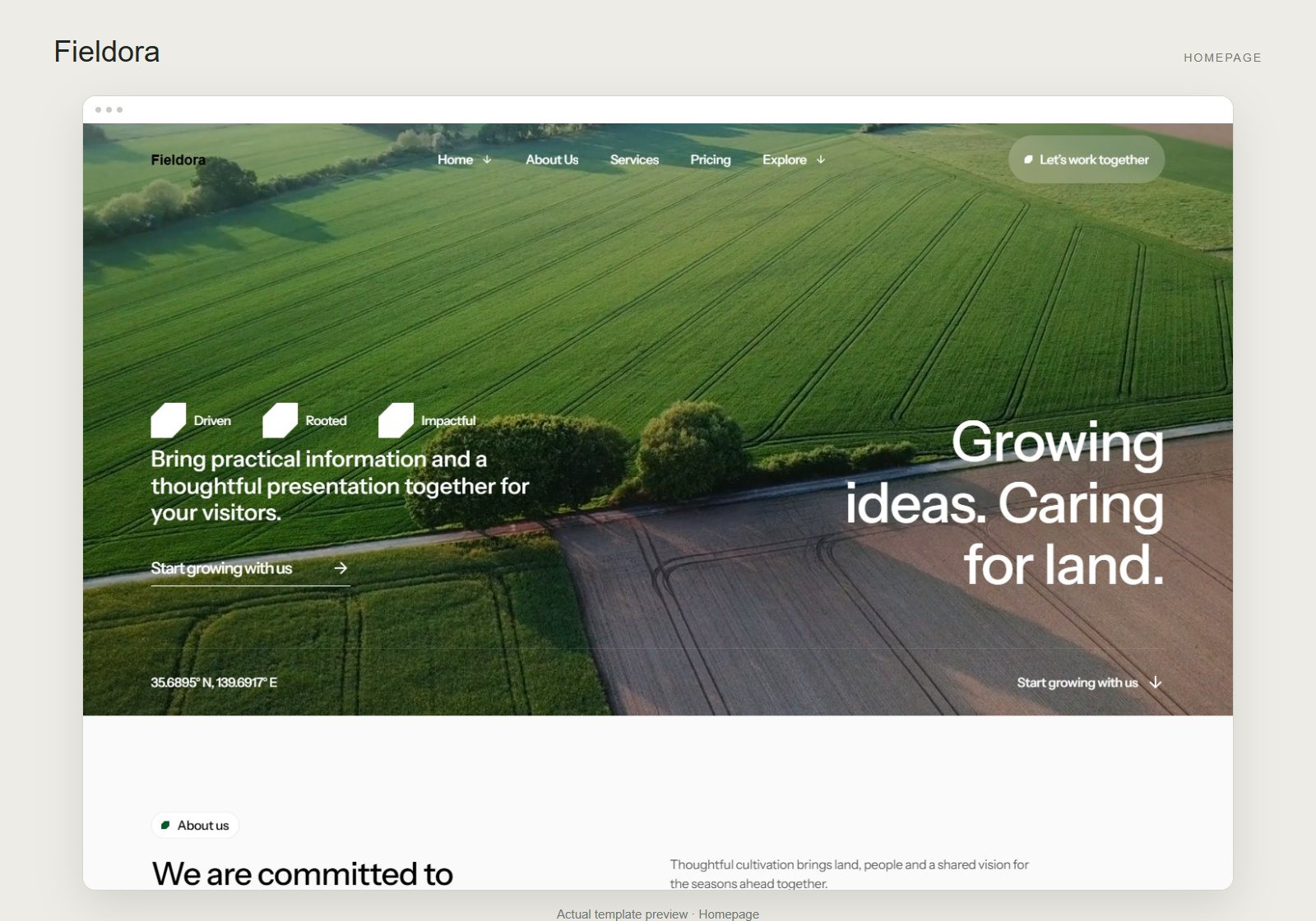 Fieldora screenshot 1